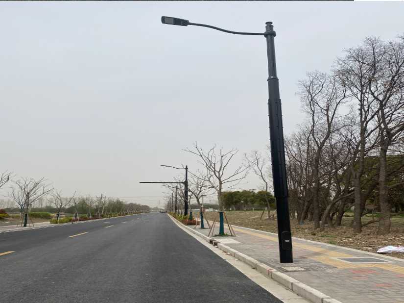 丁青县上海综合杆 太阳能路灯工程